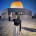 The Palestine marathon itself is an amazing experience!